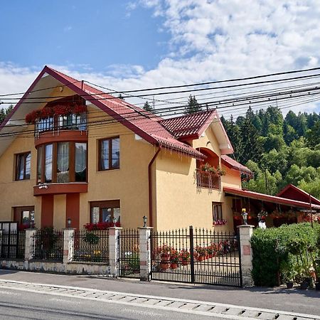 Hotel Casa Cu Flori Moisei Exteriér fotografie