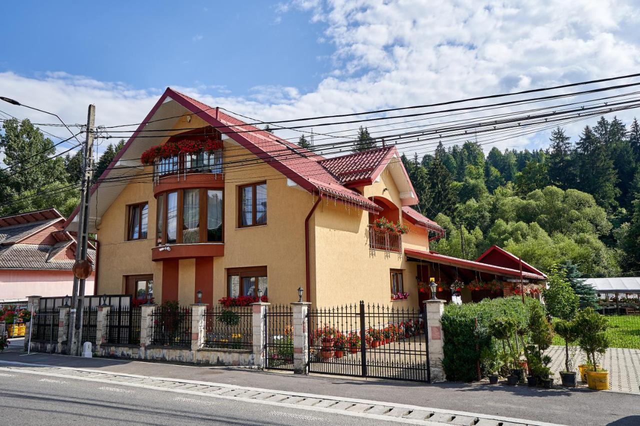 Hotel Casa Cu Flori Moisei Exteriér fotografie
