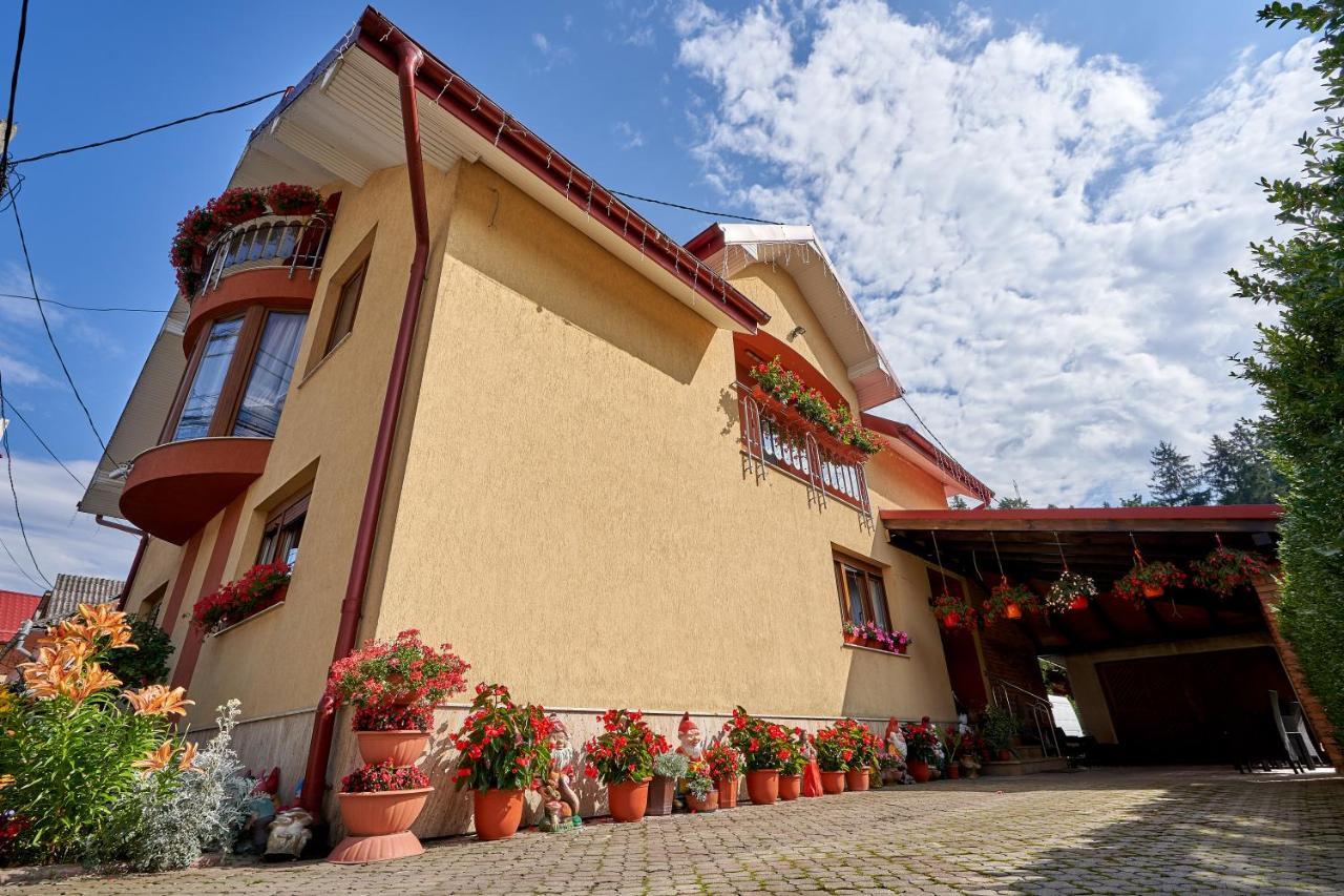 Hotel Casa Cu Flori Moisei Exteriér fotografie