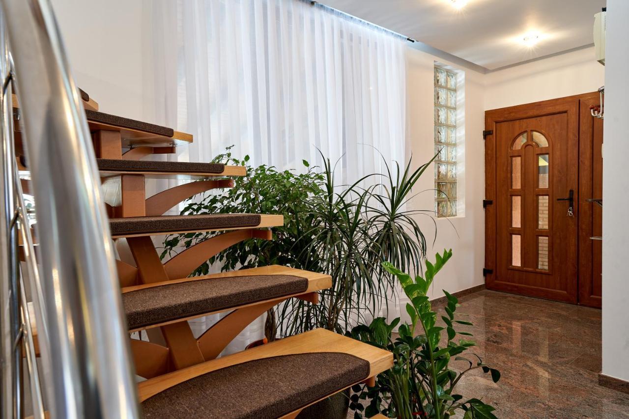Hotel Casa Cu Flori Moisei Exteriér fotografie