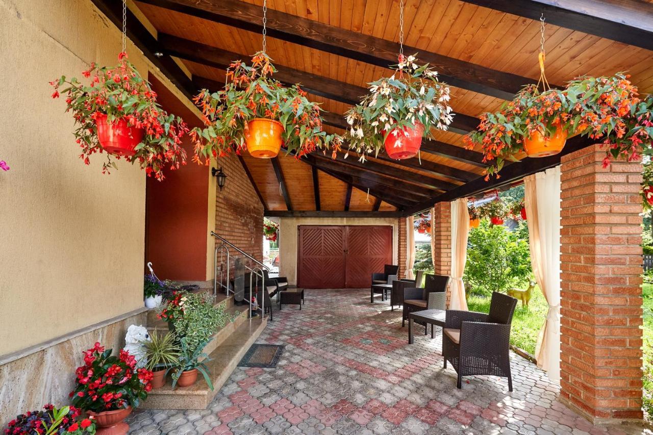 Hotel Casa Cu Flori Moisei Exteriér fotografie