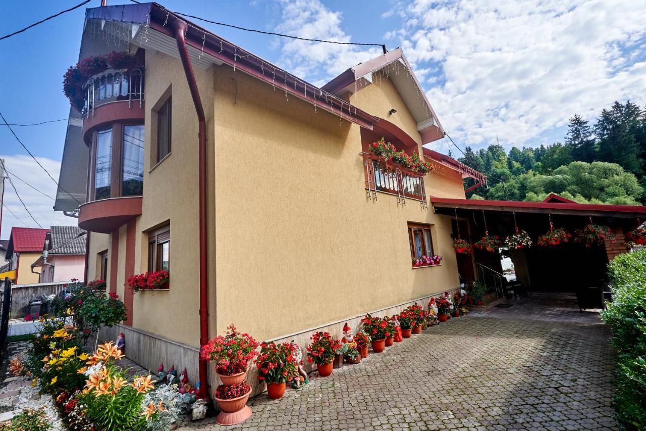 Hotel Casa Cu Flori Moisei Exteriér fotografie
