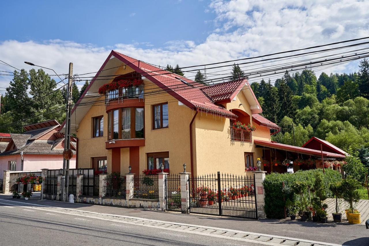 Hotel Casa Cu Flori Moisei Exteriér fotografie
